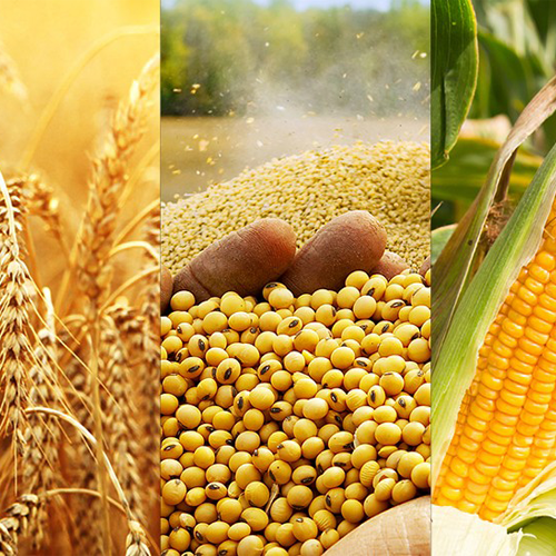 Agro Commodities